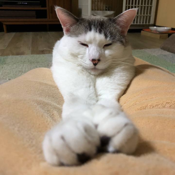 Eaba36ea 9844 407b b0f3 6d7cbc21c20b 1605709736125