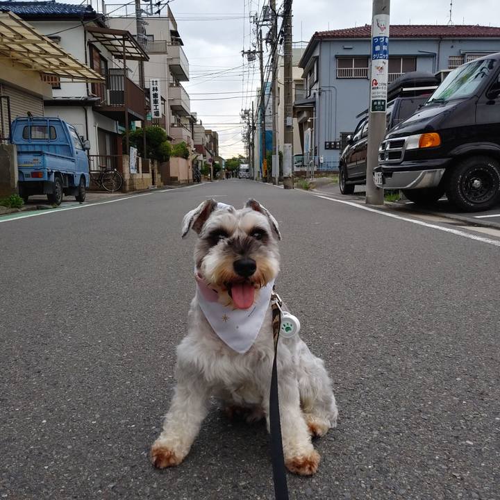 Eaba8b4c a4fe 4a33 b7fc 8981657817cb 1532559383658