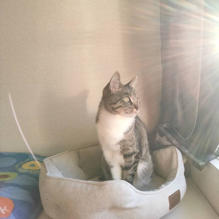 Eabab0bb b83f 46b0 94aa c3b6ca04d0ab 1677449318180