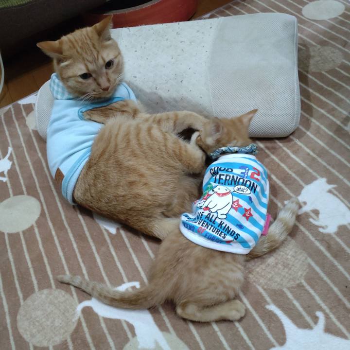 Eabab522 0c87 4377 a3c2 b55b33bf7e15 1670217771531