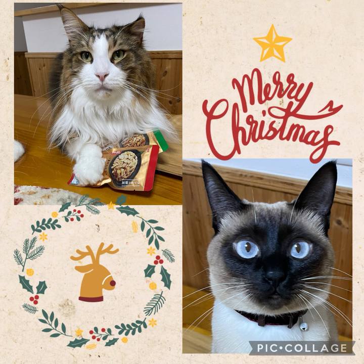 Eabad49c f60b 4a65 927f f469ce437e16 1735249014027