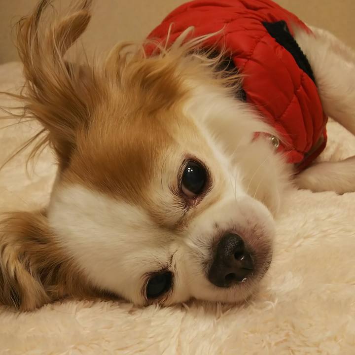 Eabae3eb 6dbe 44aa a4a4 e4377419cf3a 1606578862978