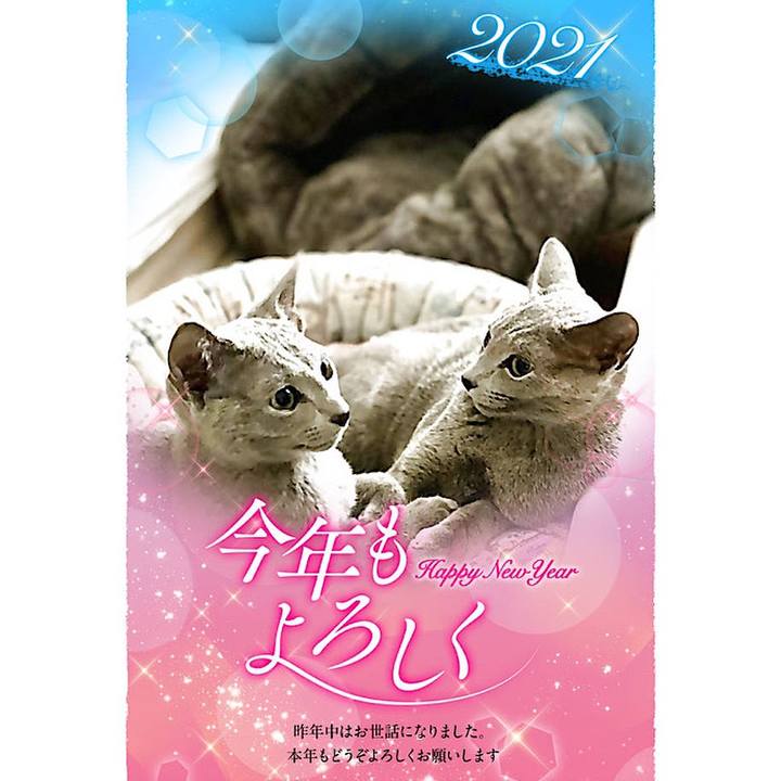 Eabb1240 9db1 4977 91cd b1cb6b0f8def 1609463672554