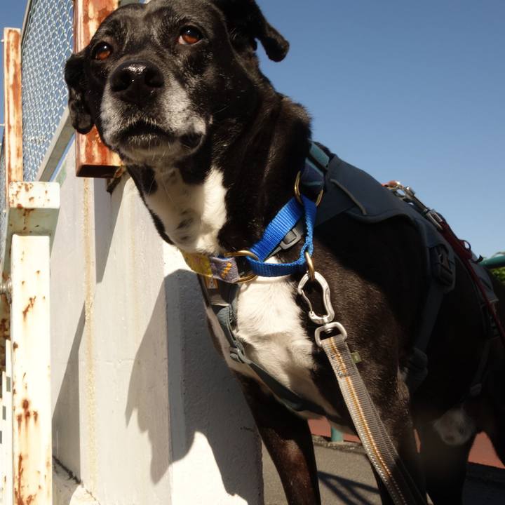 Eabb2385 15c2 40bf 9224 dc0cfd12d323 1745885858164