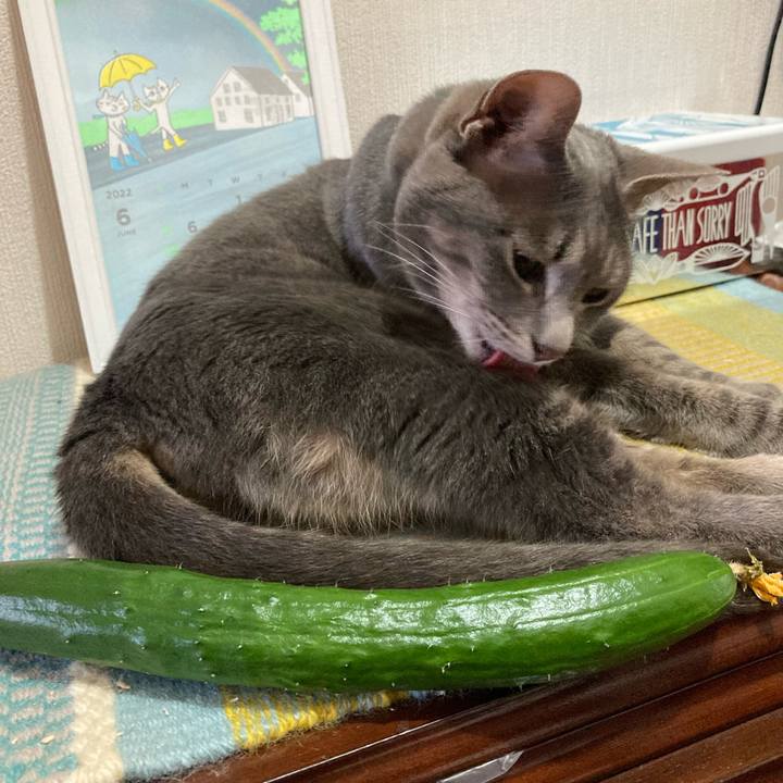 Eabb26cd 1e38 4c90 8145 0c0a42957b84 1656114835213