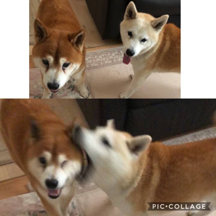 Eabb531c bd67 4bb6 b543 eaf32dcb9ef2 1566254342097