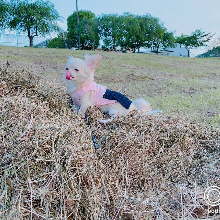 Eabb78e3 8172 4d8c a947 ef876f556d79 1622451265440