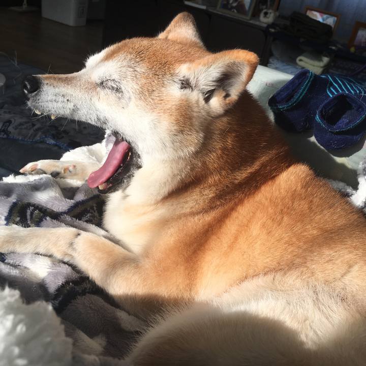 Eabbf298 fd29 4651 906d 39da70a6cdd0 1540122430809