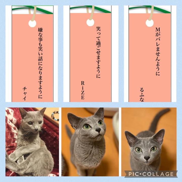 Eabc049a d81f 4838 97e1 0532c661704c 1657147645146