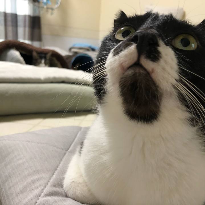 Eabc0626 c34f 4aa9 b928 378bb41efe1b 1624977435965