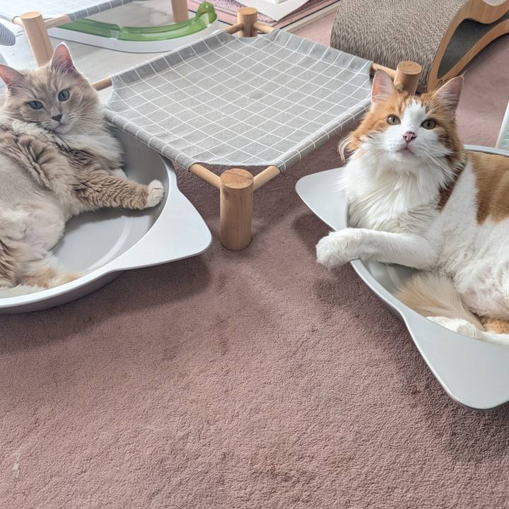 Eabc0eaf 825d 46bc 93cc 5ad84f57dd1e 1753856471831