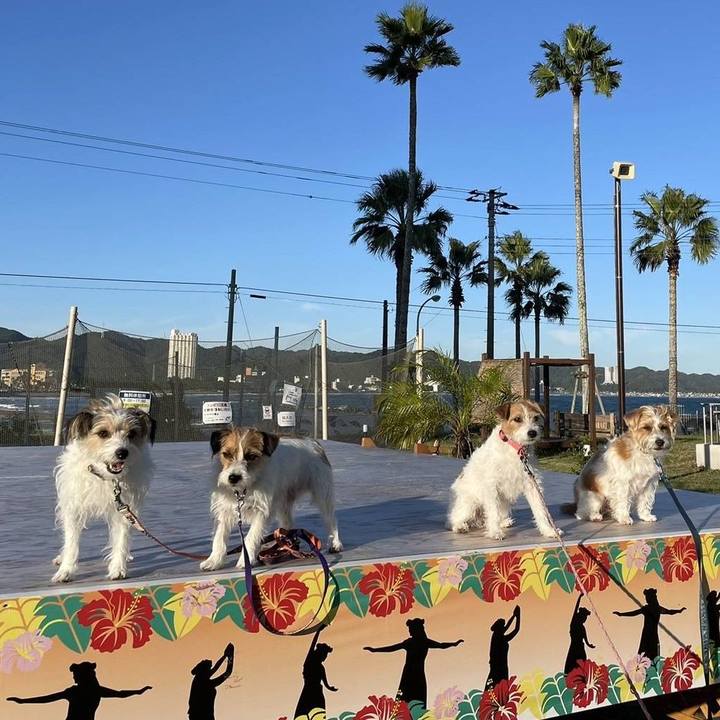 Eabc6afd e671 4232 9f23 f761845a8f4b 1697244946941