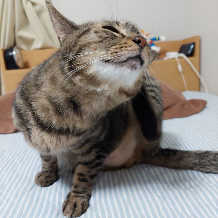 Eabc742e 1d3c 4ebd 9391 fda31fdc2219 1631140726097