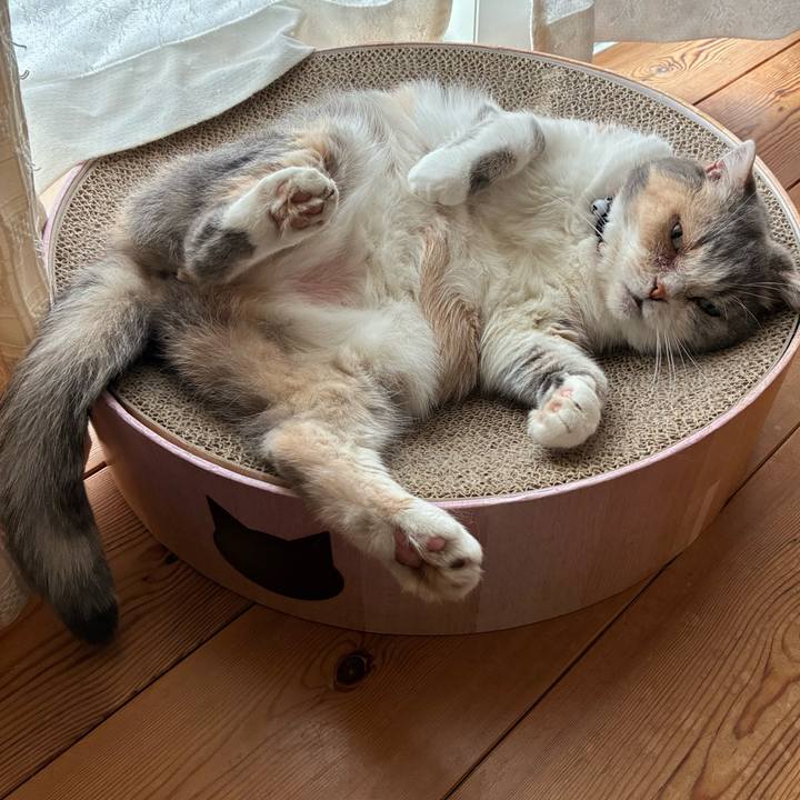 Eabc9860 6304 43e7 abb1 845b06853ead 1749549950763