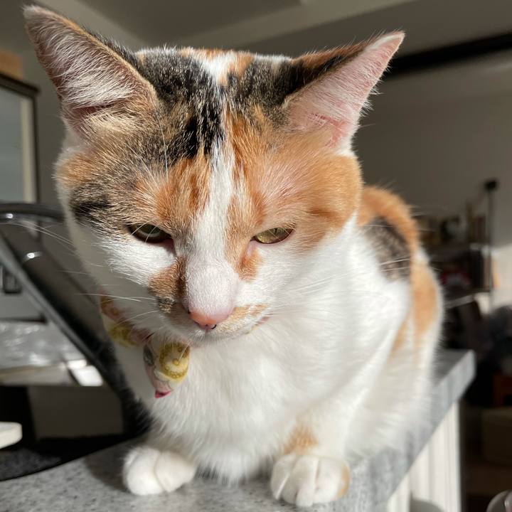 Eabc9c6b 0a46 48c7 89ca 476330b896bb 1627720169581