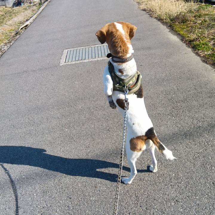 Eabca14c c555 443f 9cbb 09b88d2db664 1737378210519