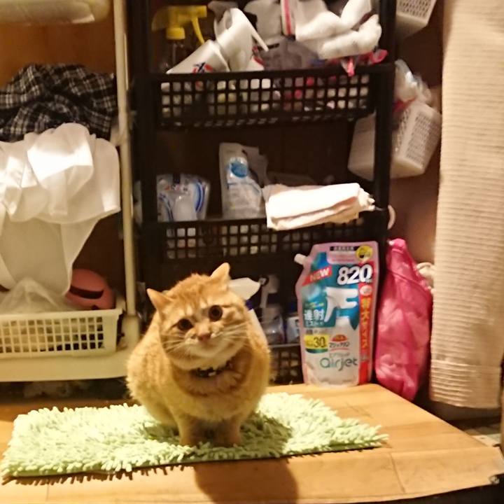 Eabcfb99 3dee 46bf af2d 70c117b5074e 1654772514883