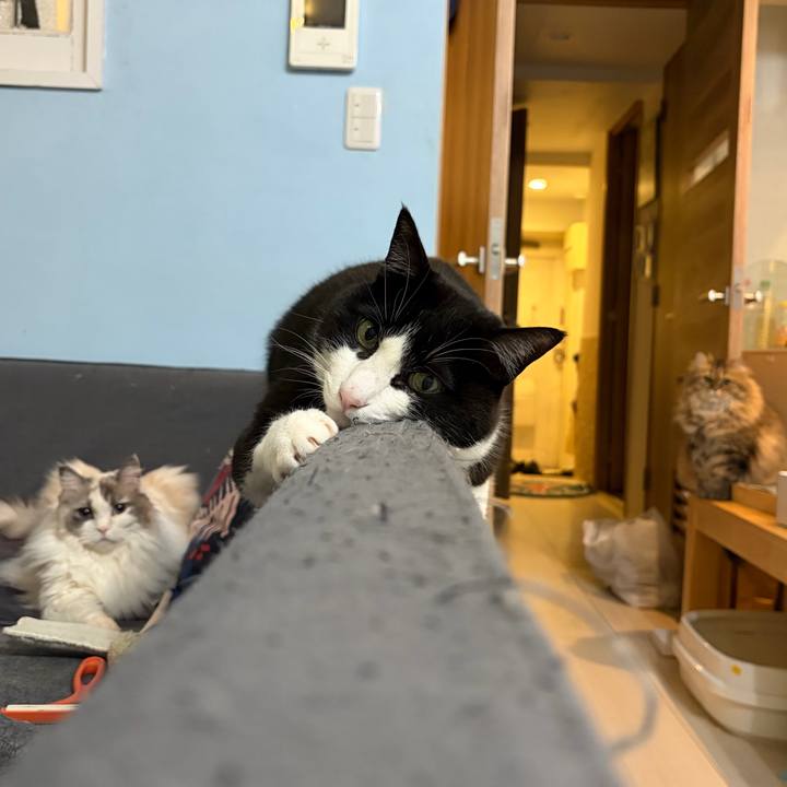 Eabd3360 3300 4e25 934c adb2922ba360 1772287248831