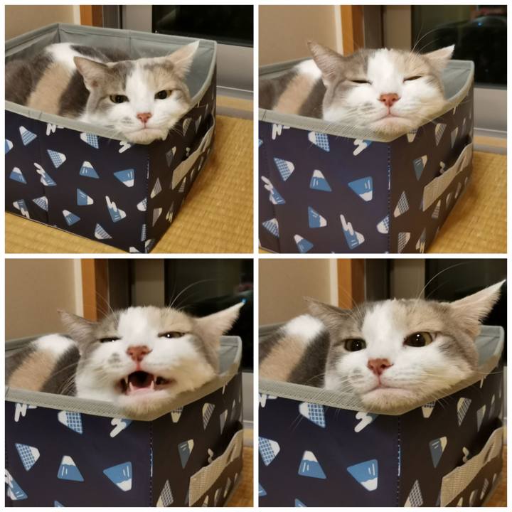 Eabd40eb 84b8 42b9 9c49 228d9feedfef 1603337882143