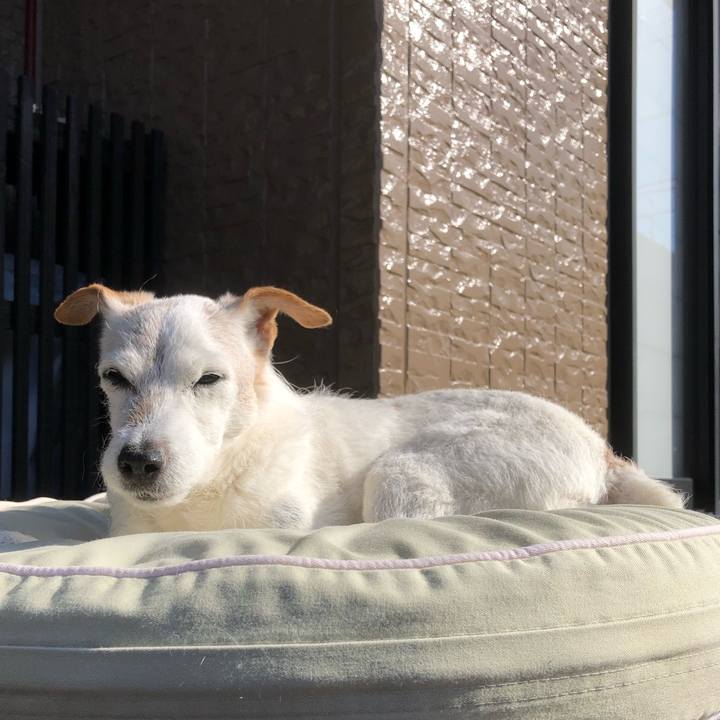 Eabd5e1c 420e 47ac bb79 d9733063197b 1635227210453