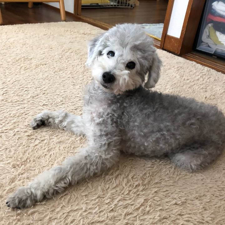 Eabd6377 4612 4538 90bf bfb80c30e245 1572915161371