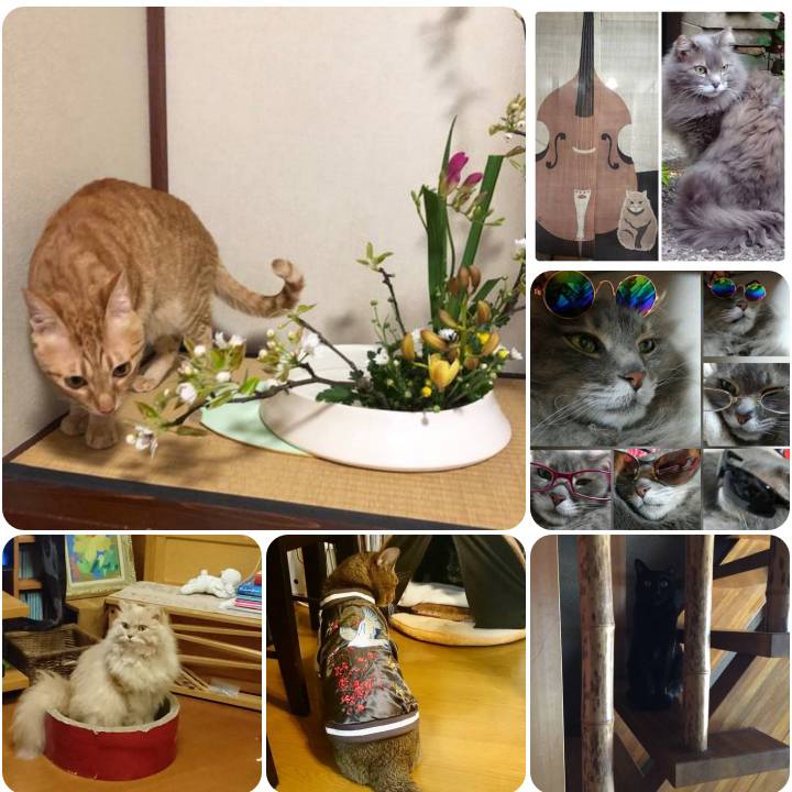 Eabd8220 38f5 44f1 ba95 904c6e0ebb4a 1555494566289