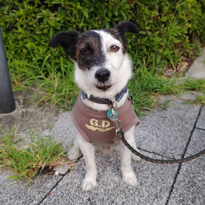 Eabd87d4 0702 4bcb 89cf cb6170b67ae9 1754516889929