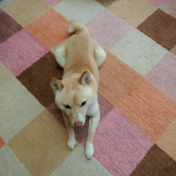 Eabd9a77 f6f7 4451 a97d 0d1668139103 1517891308486