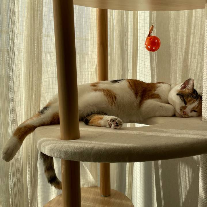 Eabdba1d caf4 4ced bca4 458ddf8859c9 1641291099700