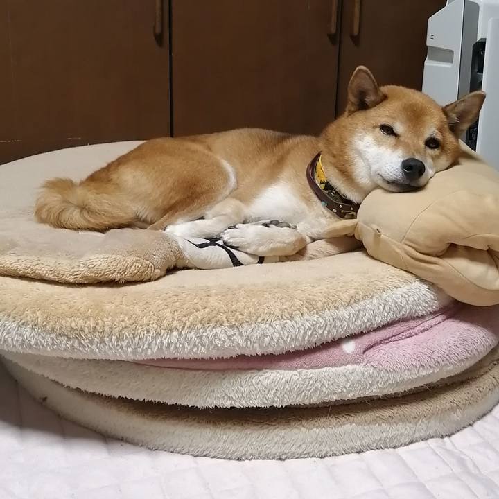 Eabdcb9e 6471 43ed 8912 5ac99d5abbe2 1603452717159