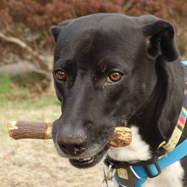 Eabdd91f f222 471e a79e c595e44fc629 1615250738305