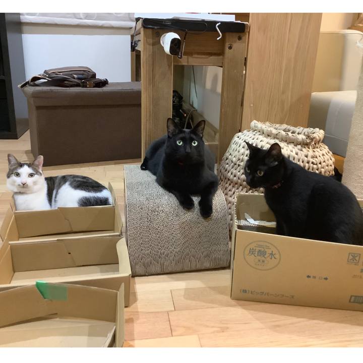 Eabde717 073d 4eec b626 014a566b3931 1560728927187