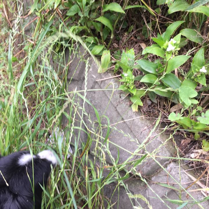 Eabdf694 d508 4bac 8a7e 1b3c3e0a70c3 1559088198633