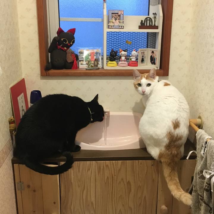 Eabe44be 1a6c 4e2c 9079 e4b17ebea8a7 1553699094613