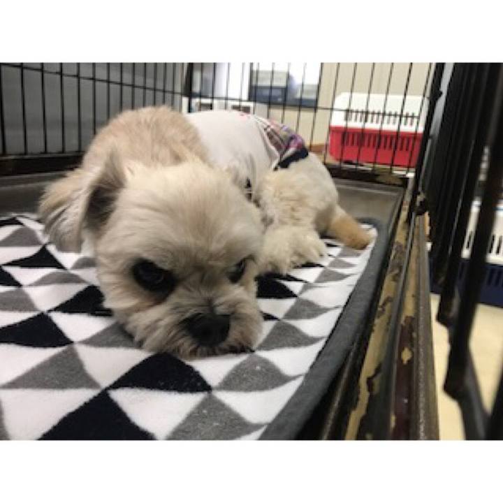 Eabe572d 011e 4c85 b129 fef69753661b 1536575960821