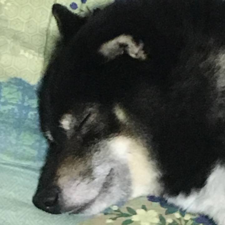 Eabe93fc 8ae0 4cd2 8c53 4d4e902eb4d6 1518220632831