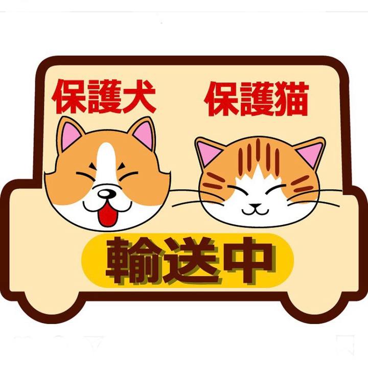 Eabe9b3d 114d 4b4d b8da 86b53f50e253 1588861000226