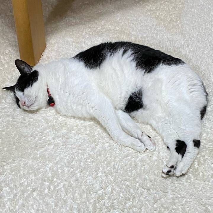 Eabeadce 9630 42c6 bbe9 da121907fce6 1649071812366