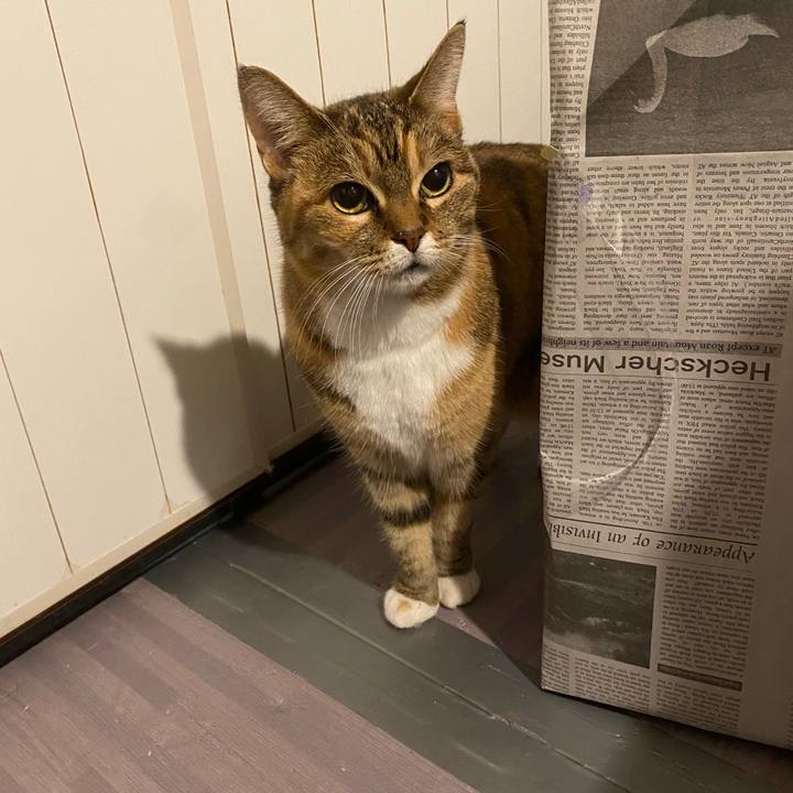 Eabef801 57cc 4b05 879a ee792c0cdc83 1672145822163