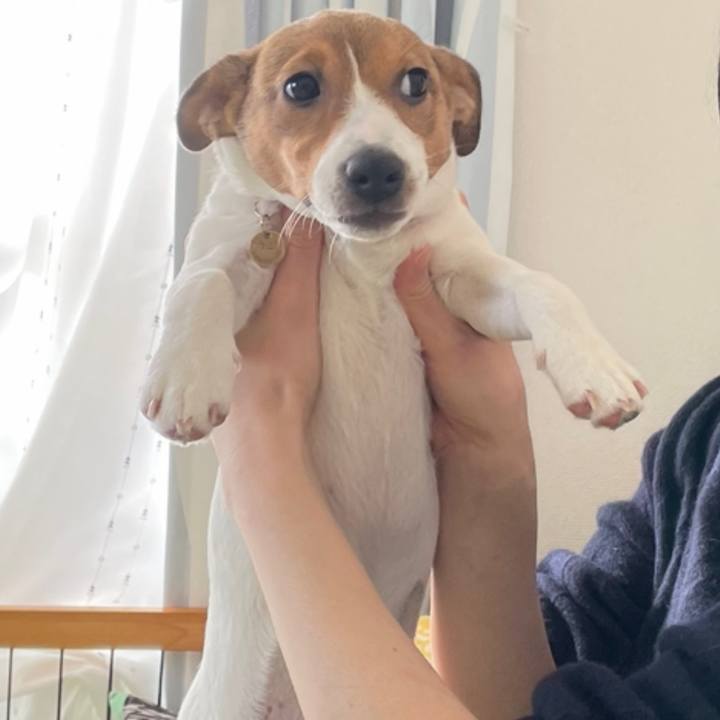 Eabf020a 0cbd 4ab7 a6e2 bd3a11b23306 1670724620007