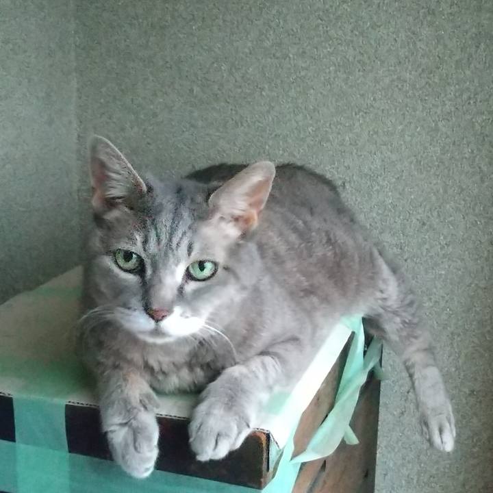 Eabf20dc 0da3 4bea 971d 611d4f8409ec 1694122198244