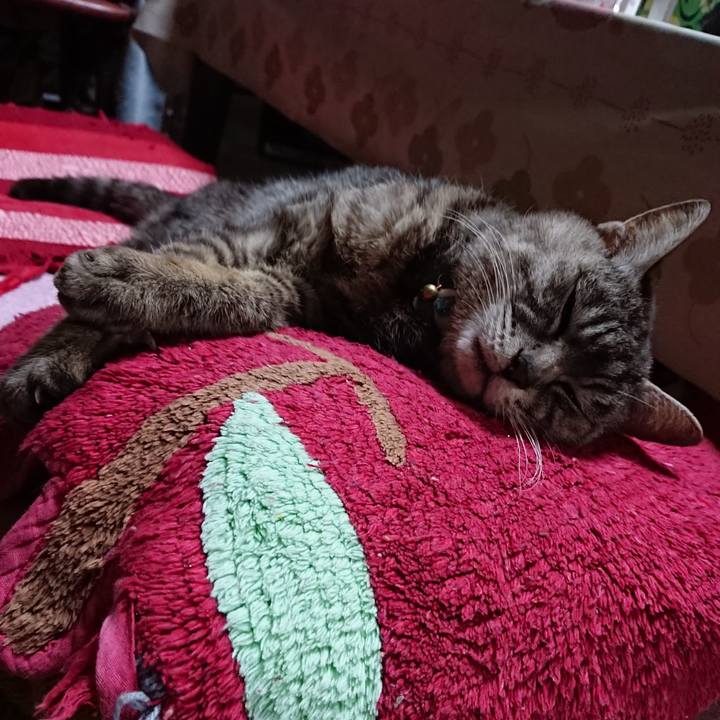 Eabf34a9 79e3 4974 86eb 1bbc59bdd409 1553940033615