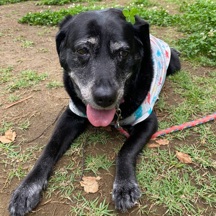 Eabf8540 e1ee 4311 a10e db3b813bfdd0 1655970078278