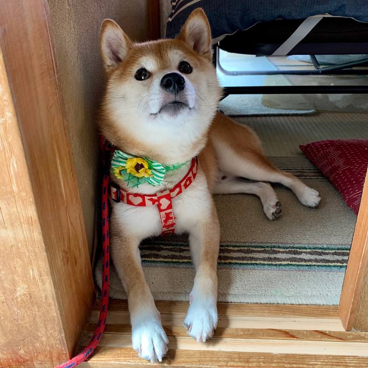 Eabf9004 d586 49f3 9594 d5835d7df158 1567167672241