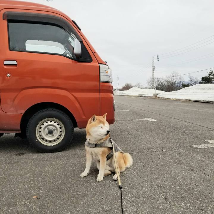 Eabf9988 6fea 45aa b9e9 351299bc0f79 1649042585581