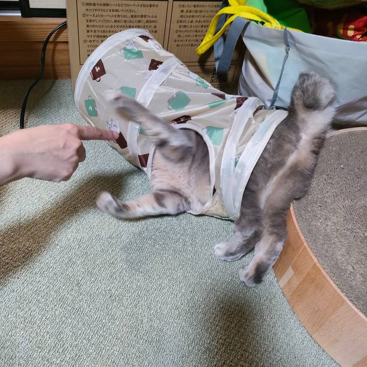 Eabfa589 09d2 4df5 a732 0acec14066b9 1767686873429