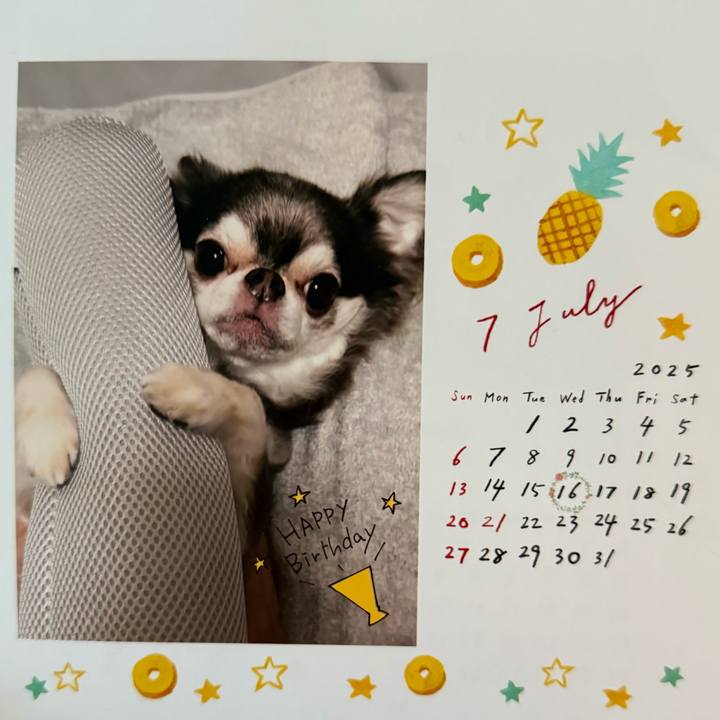 Eabfb989 b117 4444 bb99 1f5eecb6a86a 1752624275896