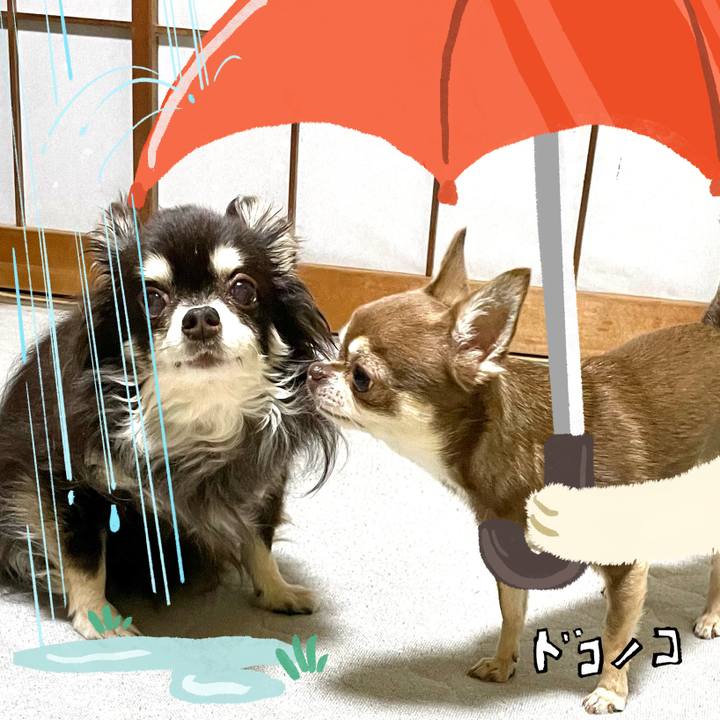 Eabfb9ae 1cd2 4ee9 8409 fc390a360e5a 1749514105868