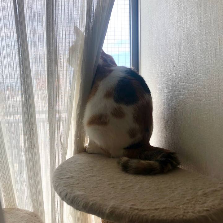 Eabfbc86 8fe6 4221 b7e5 7b1668bbb7da 1592192625930