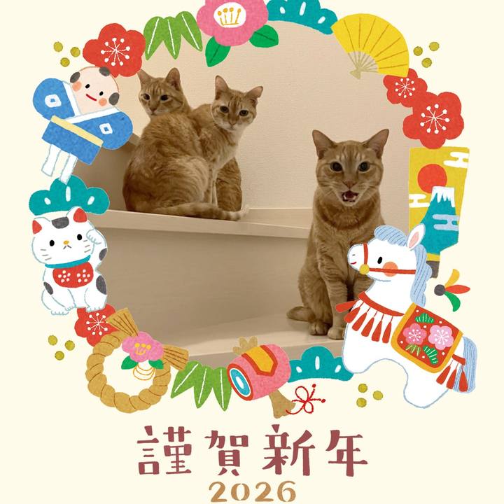 Eabfc11f d835 4476 b7e4 637e9ab4acaf 1767267033162